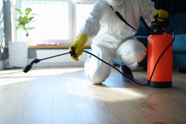 Reliable Infectious Disease Decontamination contractor in South Houston, TX by Crime Scene Cleaner Online